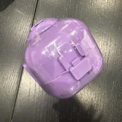 TWICE LOVELYS カプセルアパートメント サブリー