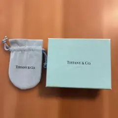 Tiffany & Co. ショップ袋・ポーチ・クリーニングクロスセット - メルカリ