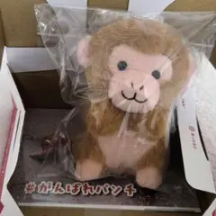 ニホンザルのぬいぐるみ くじ4等 市川動植物園 - メルカリ