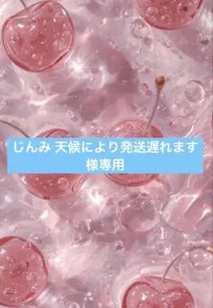 じんみ 天候により発送遅れます様 リクエスト2点 【おまとめ600円引】