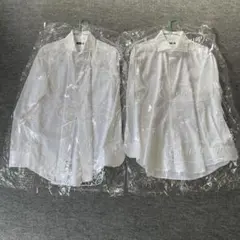 Item thumbnail for item 114ebc95-84cc-4a57-9110-acc4afa8fc63