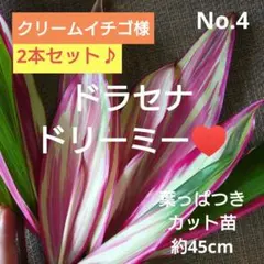 クリームイチゴ様 リクエスト 2点 まとめ商品