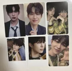 ALD1 EUPHORIA STAR ROAD 封入 トレカ