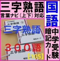 【中学受験】三字熟語　暗記カード 300語 300枚　《カット前》のサムネイル