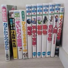 小学館の図鑑NEOシリーズ他 一部DVD付き11冊セット