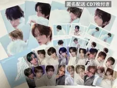 TWS play hard compact コンプリート 封入 特典 トレカ