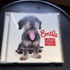 Item thumbnail for item 0478c00c-3284-4825-a76b-3c3aa089bf12