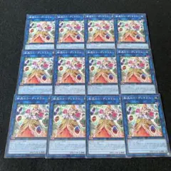 遊戯王 No.396 転晶のコーディネラル 汎用12枚セット