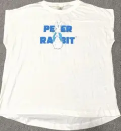 ピーターラビット Tシャツ 半袖