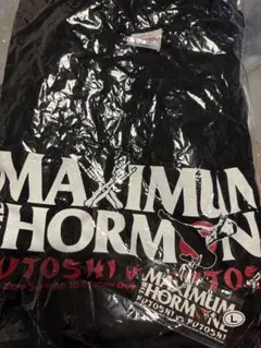 2025年最新】マキシマムザホルモン tシャツ 生還者の人気