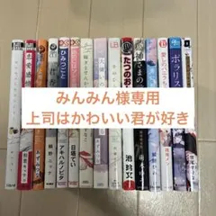 【みんみん様専用】