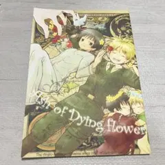 ヘタリア 同人誌 蘭日 蘭菊 1022 とうふ様 APH BL - メルカリ