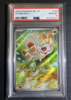 2026年最新】ヒバニー AR仕様 MC 745/742 PSA10の人気アイテム - メルカリ