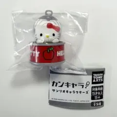 【新品】サンリオキャラクターズ　カンキャラ　ハローキティ