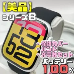 保証有【ほぼ未使用】BT100% SE3 保護カバー＋バンド＋充電器 1959