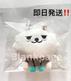 2025年最新】TOMORROW x together スビン ぬいぐるみの人気アイテム