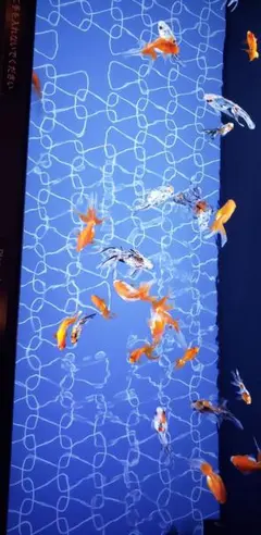 ポムzo様 ご確認用