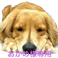 おかめ様専用【うちの子刺繍】