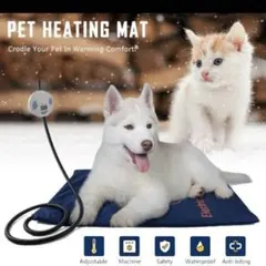 Item thumbnail for item bf21ce69-3945-491b-8a00-2a0d8d8f6509