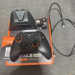 BIGBIGWON GALE HALL ゲームコントローラー