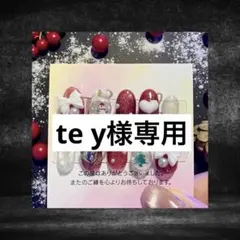 te y様確認用専用