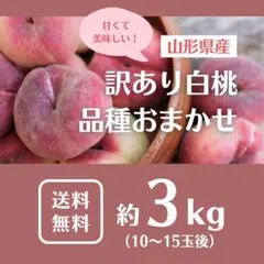 【家庭用】品種色々✨岡山白桃3.75kg12~16玉いり 家庭用】品種色々✨岡山白桃3.75kg12~16玉いり - メルカリ