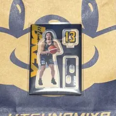 宇都宮ブレックス BREX #13 渡邉裕規 アクスタ アクリルスタンド