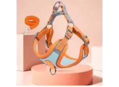 Item thumbnail for item 153ccab6-743d-4b56-832d-35f22b02fe0f