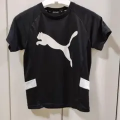 PUMA 黒 Tシャツ KEPS YOU DRY