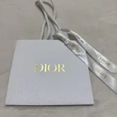 DIOR ショッパー　　ディオール