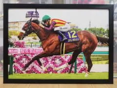 競馬 ステレンボッシュ パネル 競馬ブック 桜花賞
