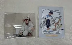 忍たま乱太郎 最強の軍師 みんなで飼育実習の段 土井半助 アクスタ ブロマイド