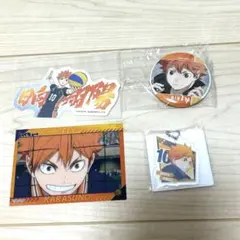ハイキュー!! 日向翔陽【まとめ売り】