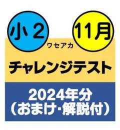 【通常5時間以内に発送】小2 ワセアカチャレンジテスト 2024年11月