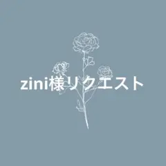 zini様 リクエスト 2点 まとめ商品