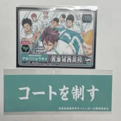 ハイキュー!! ショーセツバン 特典 青葉城西