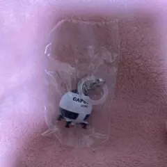 ドラゴンボール　カプセルコーポレーション　めじるしアクセサリー
