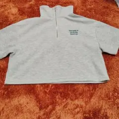 ハニーズで購入 グレー ハーフジップ トレーナー