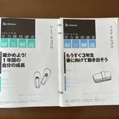 学力推移調査 解答解説 中1 中3のサムネイル