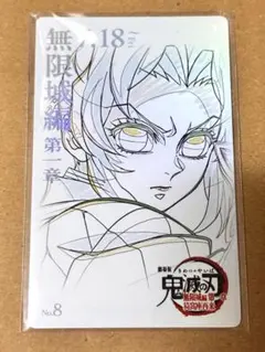 【胡蝶しのぶ】 劇場版 鬼滅の刃 無限城編 ムービーチケット風コレクションカード