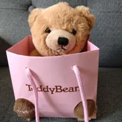TeddyBear ぬいぐるみとネックレスのサムネイル