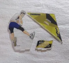 赤葦京治 木兎光太郎