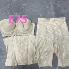 2025年最新】フォーシスアンドカンパニー インナー d70の人気