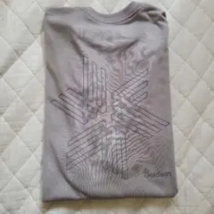 goldwin Tシャツ