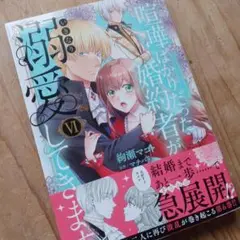 喧嘩ばかりだった婚約者がいきなり溺愛してきます　VI