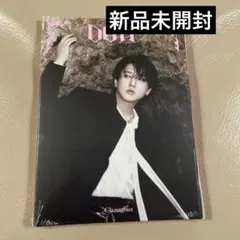 スキズ　DO IT アコーディオンver. チャンビン　新品未開封