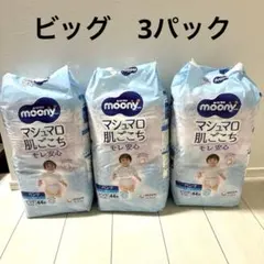 Item thumbnail for item 692ce8ef-8009-4467-a59a-f830782c2f59