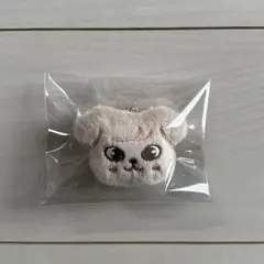 straykids skzooスンミンSeungmin승민 PuppyMパピーム