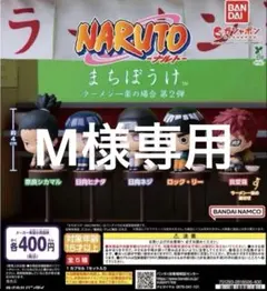 M様専用ロックリー一体