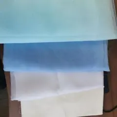 Item thumbnail for item 8c7dc5bc-f279-459b-b0e6-804f145798bb